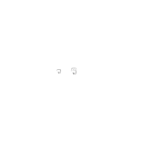 Borda Karavan